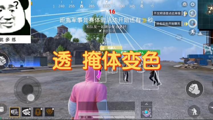 和平精英中的路飞是什么外挂（和平精英路飞讲的是什么）